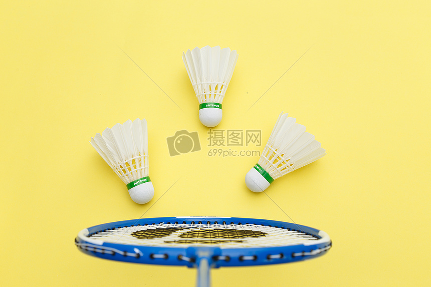 对于阿尔蒂