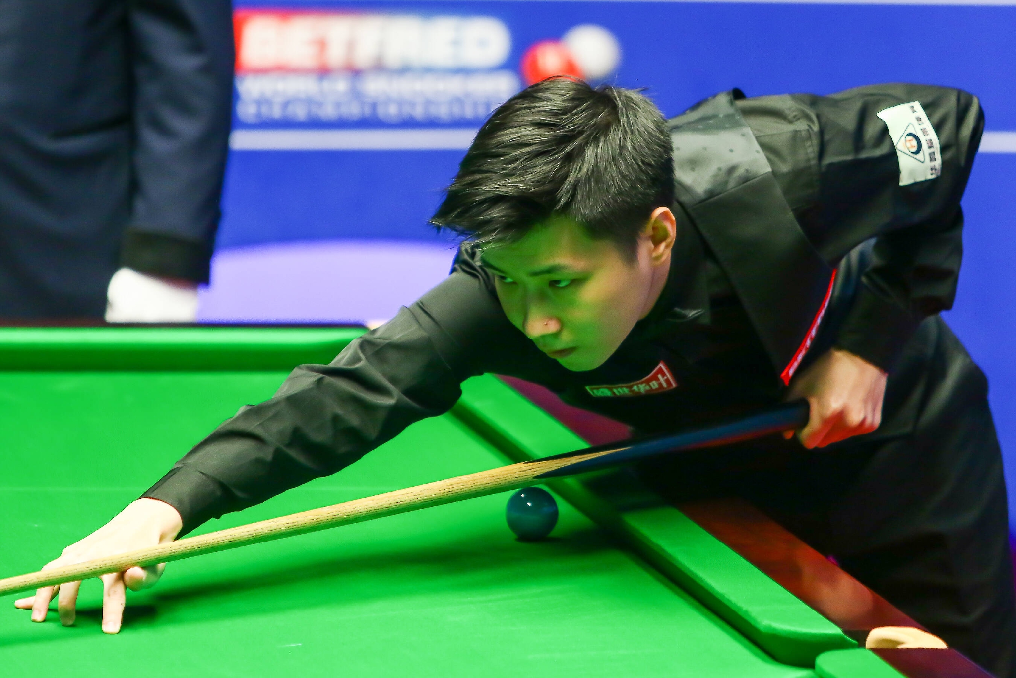 表现形成了 表现形成了