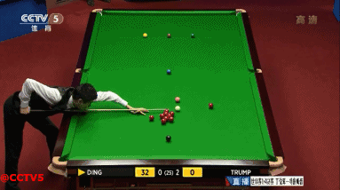 多伦多蓝鸟 多伦多蓝鸟